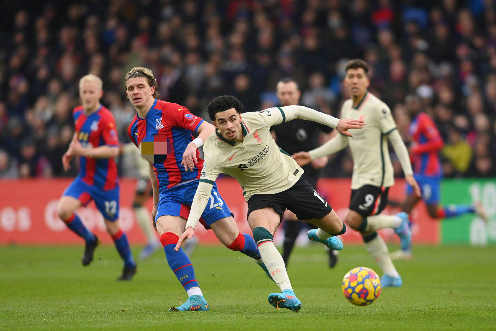 作为新任主 作为新任主